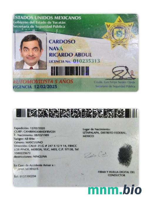 Meksyk Yucatan state prawo jazdy szablon w formacie PSD, ze wszystkimi czcionkami